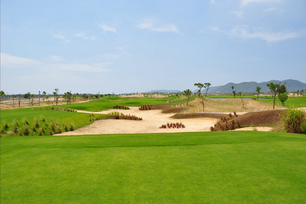 Golf course with ball near flag