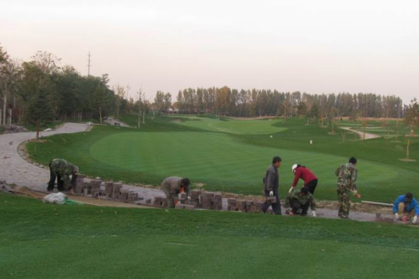 Golf course with ball near flag