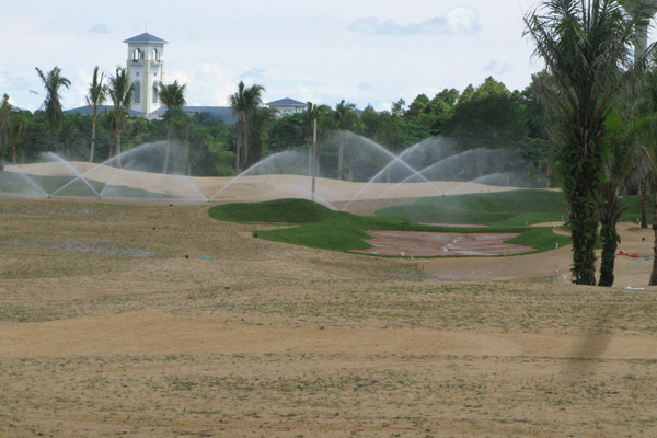 Golf course with ball near flag