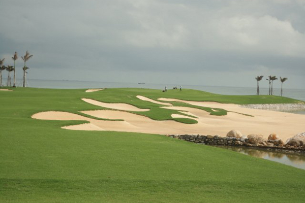 Golf course with ball near flag