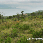 Flagstick Undertakes Development of a New 36-Hole Project in Dali, China, with a Focus on “Green” Construction