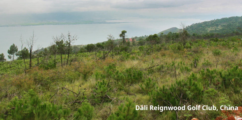 Golf course with ball near flag