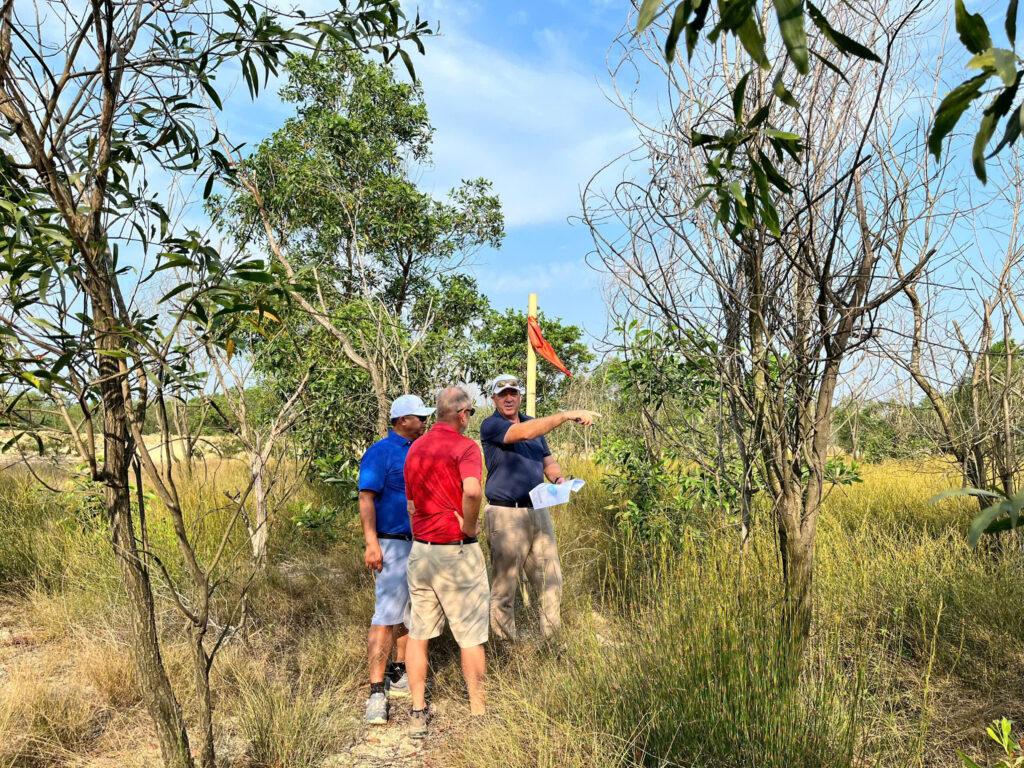 Blue Diamond Golf Links
